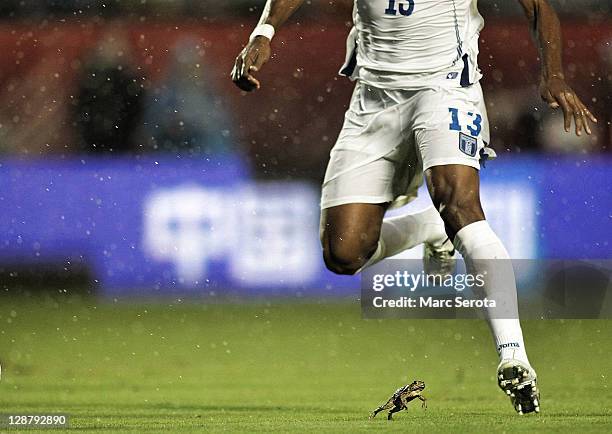 Bull Frog hops around on the field as Carlos Costly of Honduras brings the ball up in the rain against the USA at Sun Life Stadium on October 8, 2011...