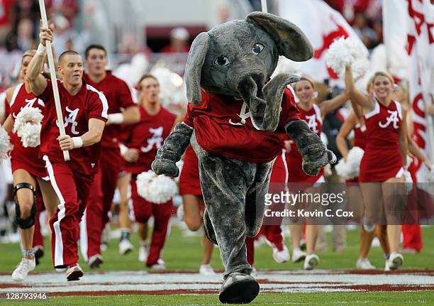 Big Al, mascot of the Alabama Crimson Tide, runs out on the field during pregame prior to facing the Vanderbilt Commodores at Bryant-Denny Stadium on...