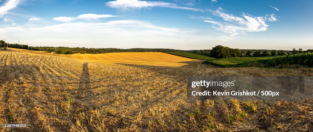 Scenic view of agricultural field against sky,Mt Carmel Rd,United States,USA