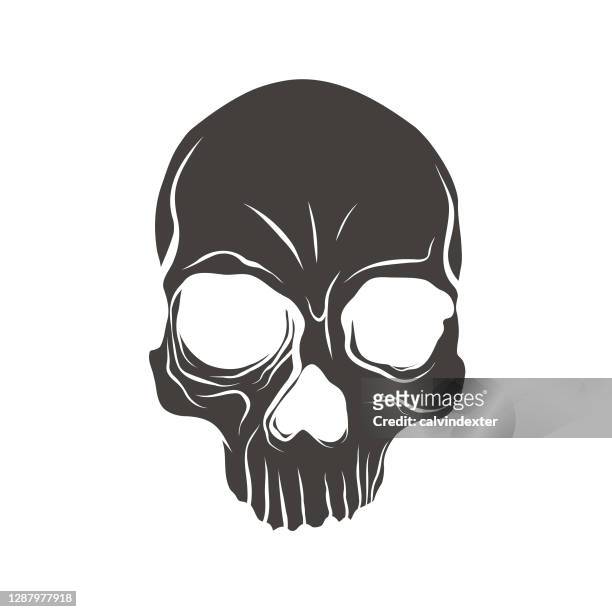 human skull ink illustration - human skull stock illustrations