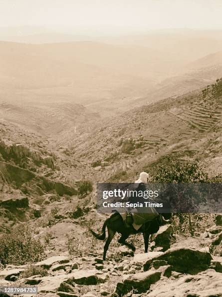 Wady Shwaye. Mt. Hasbaya and Hermon. Wady Shwaye. Mt. Hasbaya and Hermon.