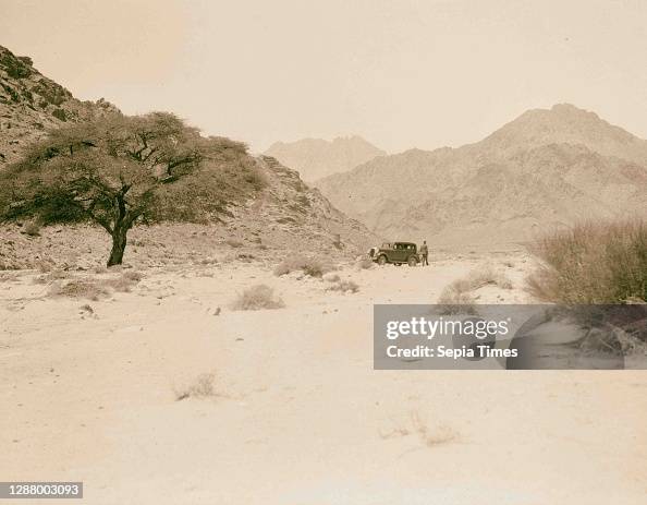 The pass as it descends into the plain of Araba.