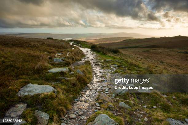 Little Arrow Moor on the south flank of The Old Man of Coniston with the Furness Fells beyond in the Lake District National Park.