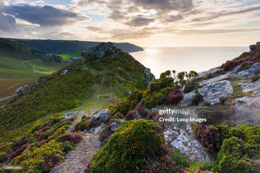 Lynton