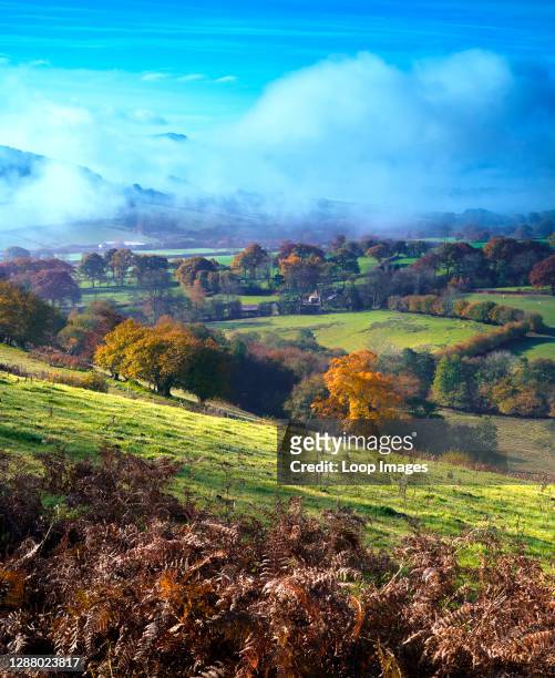 An early morning misty view of the countryside near Rhayader In Powys in Wales.