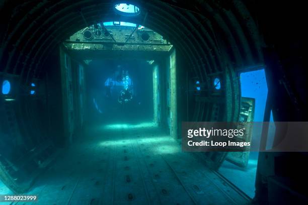 Diver swims along the cockpit of a wrecked C-130 cargo plane in the waters of the Red Sea near Aqaba in Jordan.