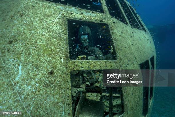 Pilot dummy surrounded by schools of fish sits at the cockpit of a C-130 crash in the Red Sea waters off Aqaba in Jordan.