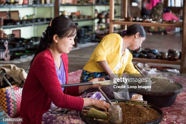 Cheroot cigar making workshop in the village of Nam Pan.