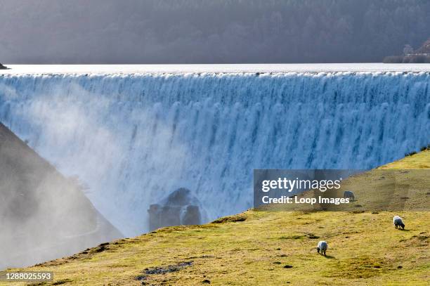 123 Madden Dam Stock Photos, HighRes Pictures, and Images Getty Images