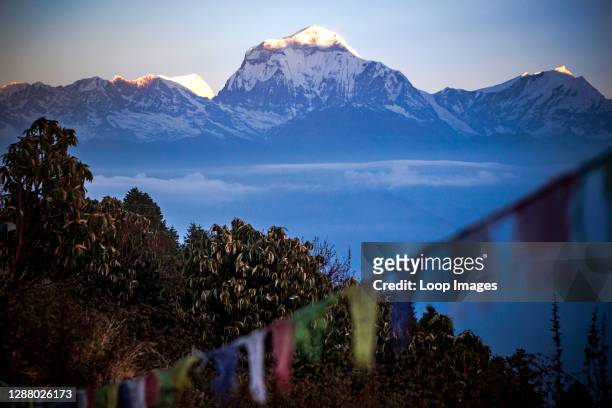 Sunrise at Poon Hill and the sun hitting the snow caps of Dhaulagiri.