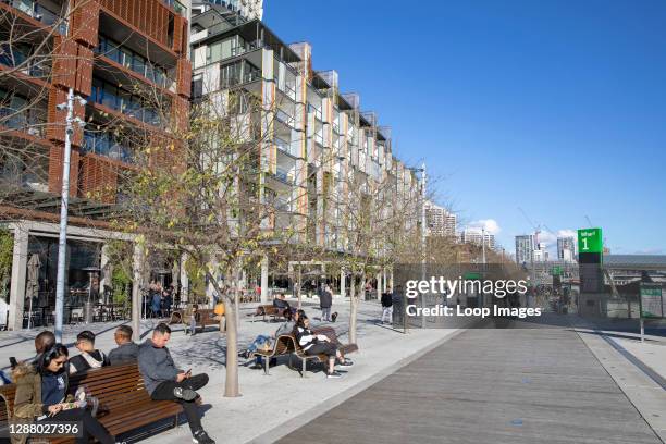 Barangaroo regeneration with residential apartments and new ferry wharf in Sydney.