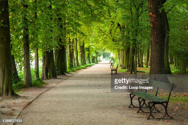 Summer morning in Lazienki Park in Warsaw.