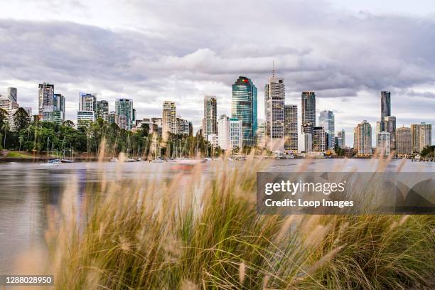 The Brisbane skyline.