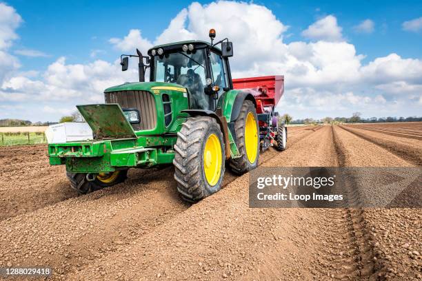 Mechanised planting of seed potatoes using a dewulf 3 row belt planter behind a John Deere tractor.