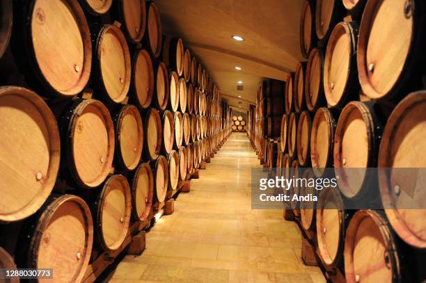 Ampuis . Rows of casks in the cellars of the Guigal wine-growing estate.