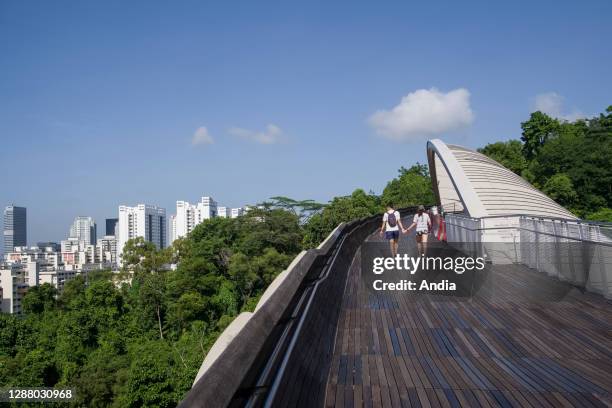 Singapore, Henderson Waves, pedestrian bridge above Henderson Road and the two hills in the Southern Ridges.