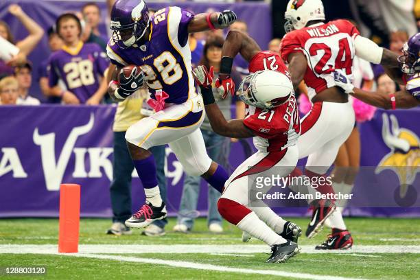 Adrian Peterson of the Minnesota Vikings scores a touchdown against Greg Toler of the Arizona Cardinals at the Hubert H. Humphrey Metrodome on...