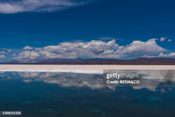 Salinas grandes. Argentina. South America. America.