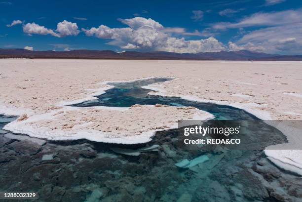 Salinas grandes. Argentina. South America. America.