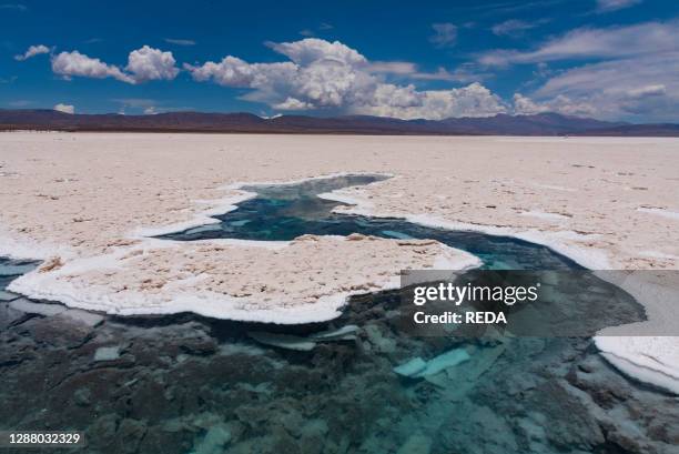 Salinas grandes. Argentina. South America. America.