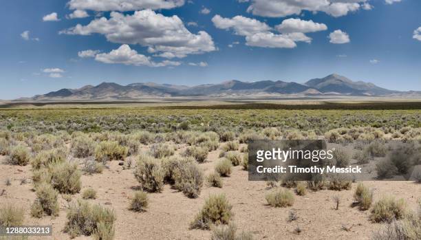de vallei en de bergen van de woestijn - nevada stockfoto's en -beelden