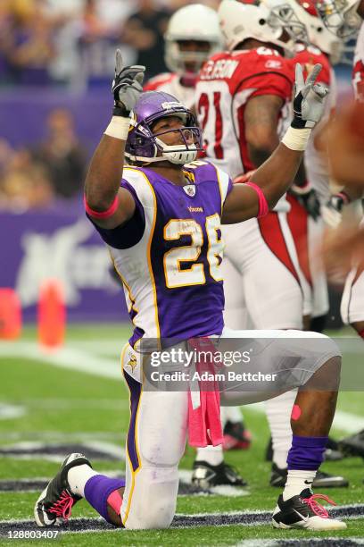 Adrian Peterson of the Minnesota Vikings celebrates a touchdown against the Arizona Cardinals at the Hubert H. Humphrey Metrodome on October 9, 2011...