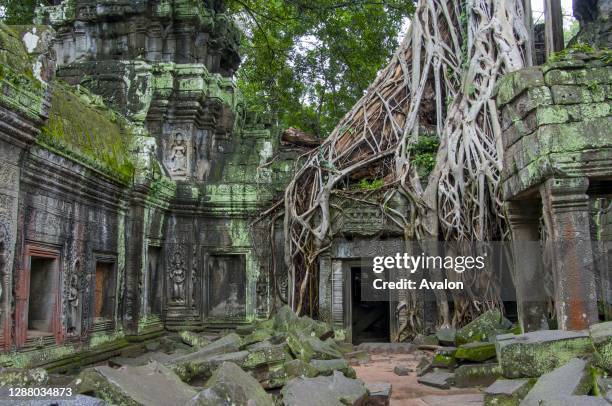 Fig tree is growing out of the wall of Ta Prohm, the modern name of the temple in Siem Reap, Cambodia, built in the Bayon style largely in the late...