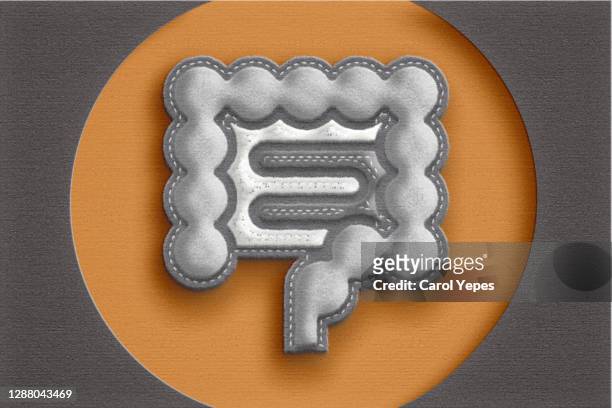 conceptual image human intestine made of felt and  paper - colon stock pictures, royalty-free photos & images