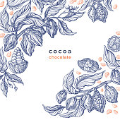 Cacao texture plant. Vector graphic bean. Bio food