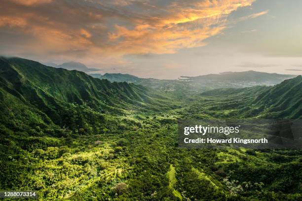 aerial of tropical rainforest - valle fotografías e imágenes de stock