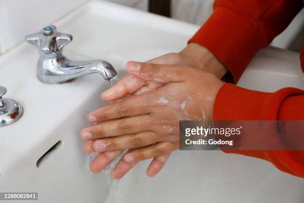 Boy washing his hands. Eure. France.