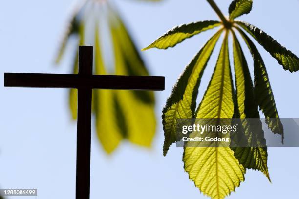 Wooden cross against the sky with green leaves. France.