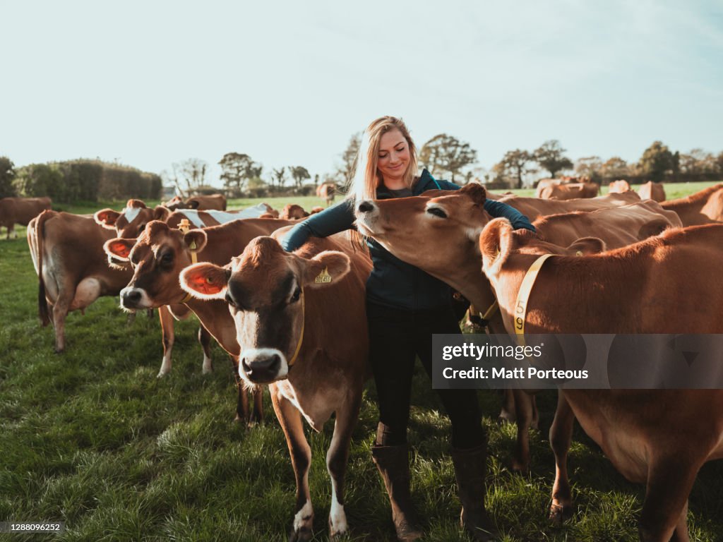 Young woman farmer in a field with cows