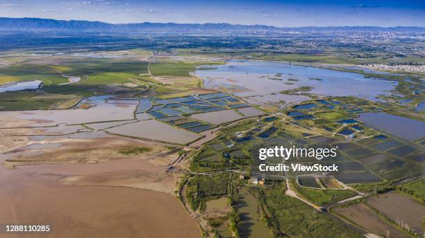 baotou huang hejin tianjin ancient crossing the south china sea tourism development zone - baotou - fotografias e filmes do acervo