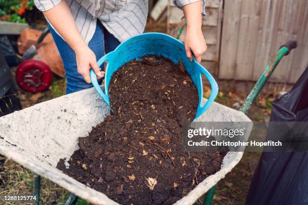 a woman tipping compost from a bucket into a wheelbarrow - compost garden stockfoto's en -beelden