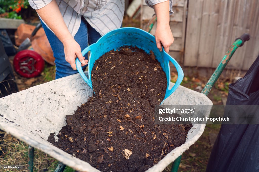 A woman tipping compost from a bucket into a wheelbarrow