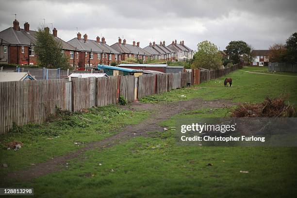 Pet horses tethered on land known as in Tipton that may be seized by bailiffs on October 10, 2011 in Dudley, England. Horse lovers in Tipton are...