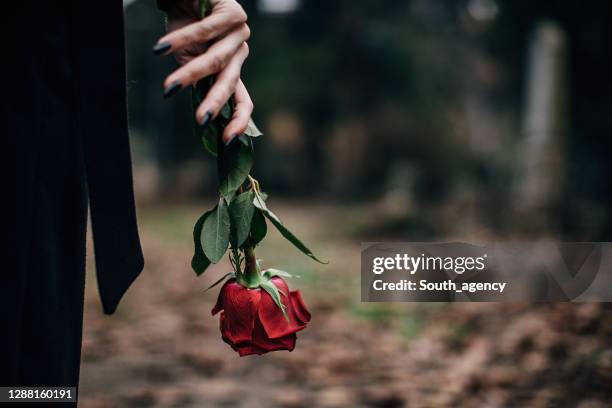 sluit omhoog van een roze bloem in de hand van de weduwe - mourner stockfoto's en -beelden