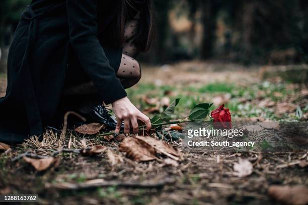 één droevige vrouw plaatst roze bloem op het graf - weduwe stockfoto's en -beelden