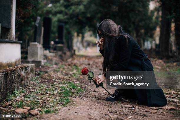 sad young widow places rose flower on the grave - rosa rock stock pictures, royalty-free photos & images