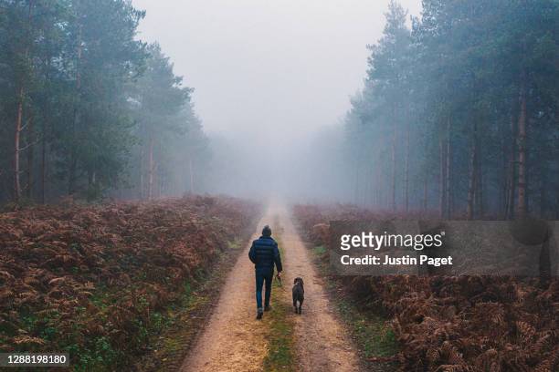 man walking his dog in misty forest - woodland creatures stock pictures, royalty-free photos & images