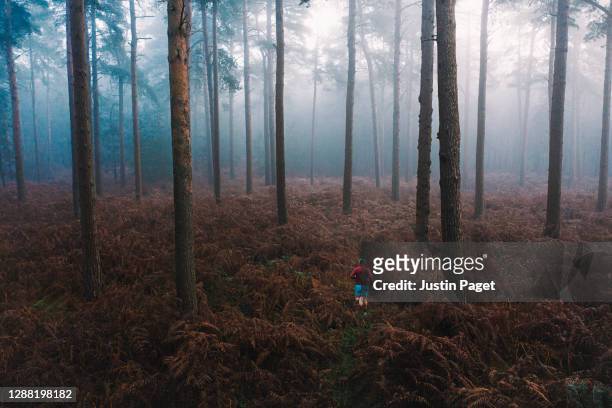 elevated view of runner in misty forest - early english stock pictures, royalty-free photos & images