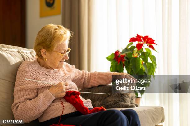 old woman in a protective mask knitting at home during quarantine days with her cat - old lady cat stock pictures, royalty-free photos & images