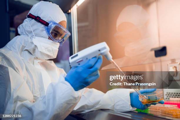 researchers working for covid vaccines - bone marrow transplant foto e immagini stock