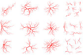 Vein set illustration isolated on white background. Collection of human blood system graphic. Red vessel, arteries design. Anatomical icon group. Vector shape of artery. Eps 10 abstract symbols.