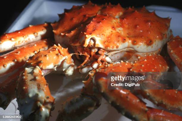 boiled red king crab - alaskan king crab foto e immagini stock
