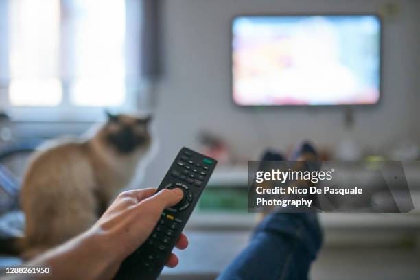 hand of man pointing remote control at working television screen - watching stock-fotos und bilder