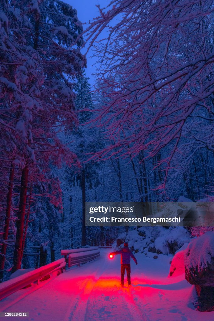 One person with a red lamp on a snowy road in the meadle of the forest in winter at twilight.