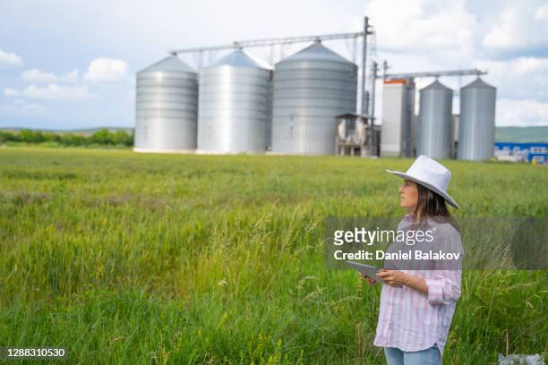 porträt einer bäuerin, die mitten auf einem weizenfeld mit silos im hintergrund steht. landwirtschaftliche berufe. globales geschäft. investitionen in die landwirtschaft. - silo tank stock-fotos und bilder