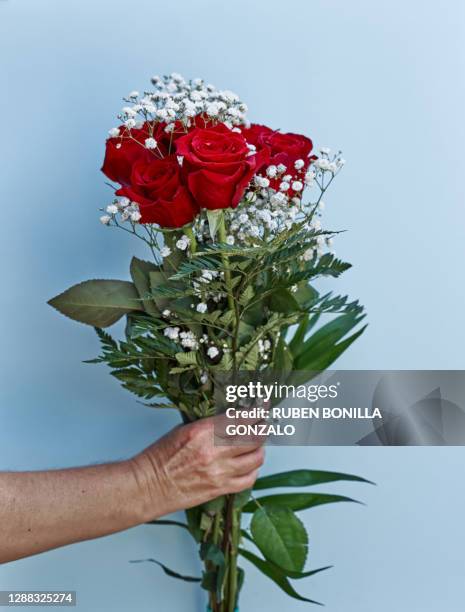 Had Giving Red Roses 1,352 Happy Birthday Red Roses Stock Photos, High-Res Pictures, and ...